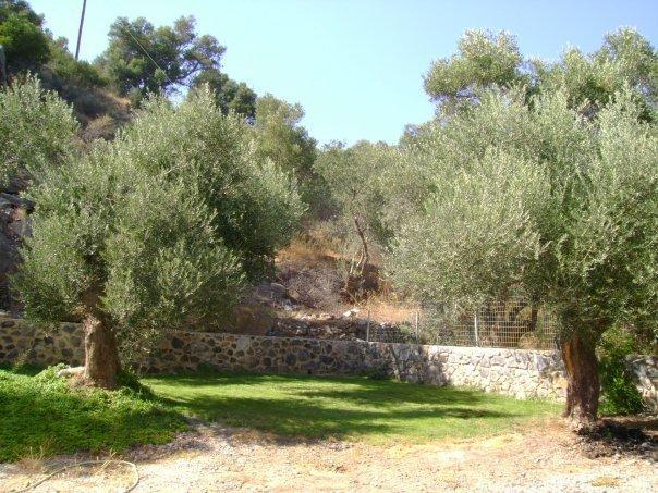 Rodakino Βay Exterior photo